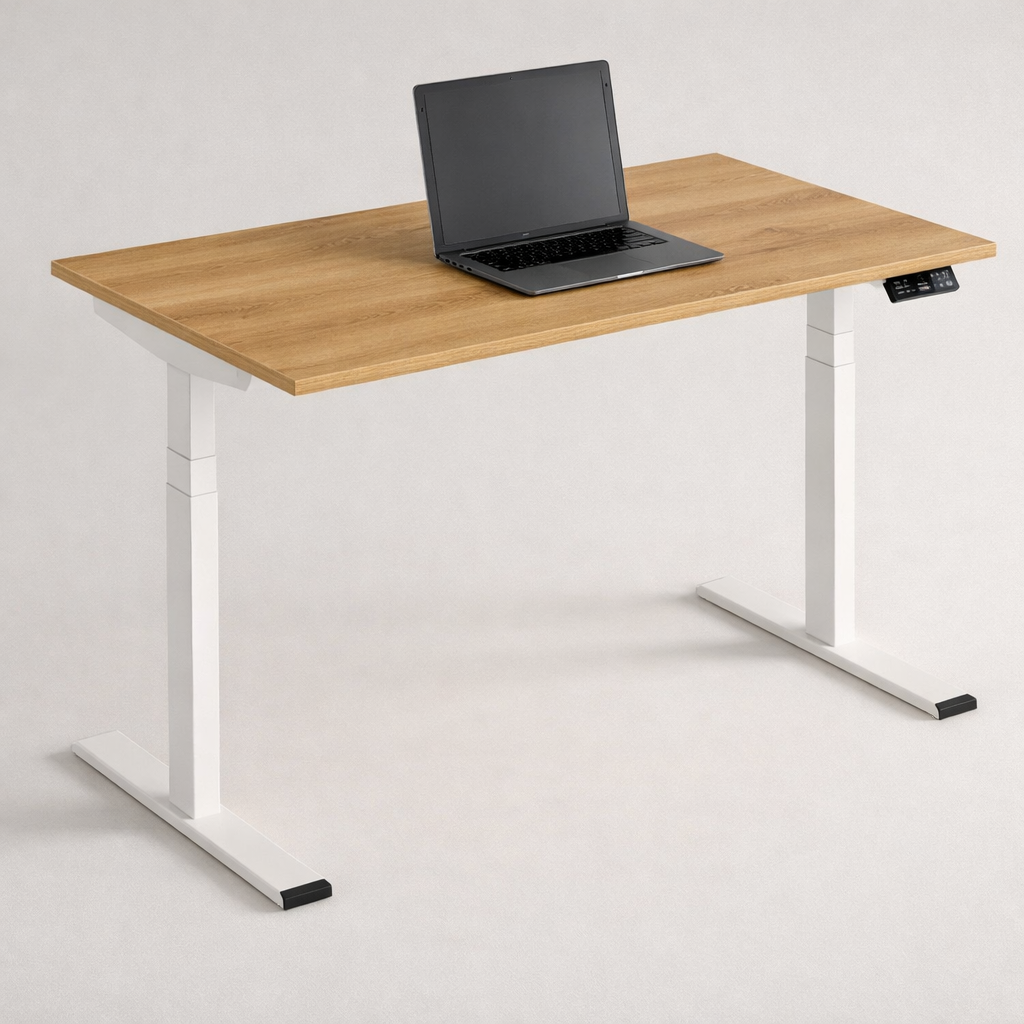 Height Adjustable Electric Standing Desk